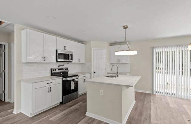 New  Construction Home for Rent Gallery 4