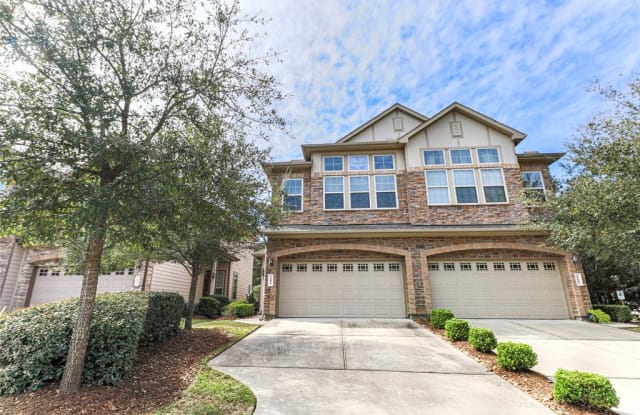 107 Aventura Place - 107 Aventura Place, The Woodlands, TX 77389
