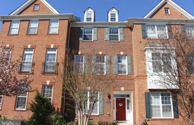 23261 CARTERS MEADOW Terrace photos photos