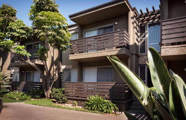 Elán Avante Apartment Homes Gallery 2