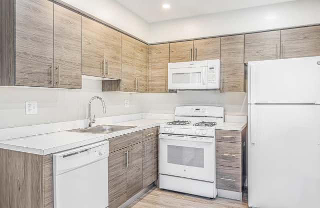 Forest Station photos photos