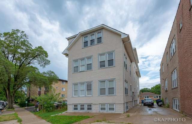 217 Des Plaines Avenue unit: 1 - 217 Des Plaines Avenue, Forest Park, IL 60130