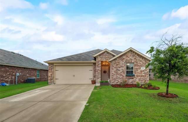 315 Patina Street - 315 Patina Street, Collin County, TX 75189