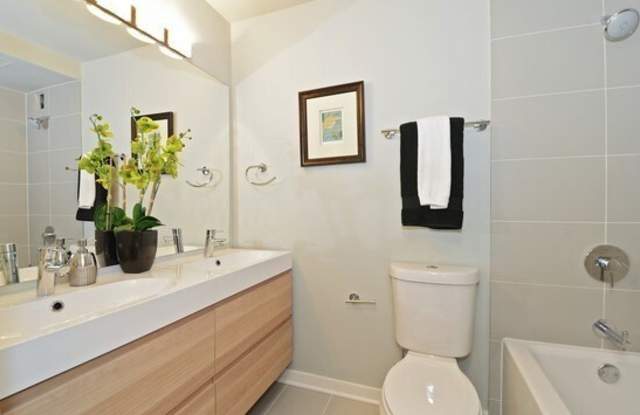 474 North Lake Shore Drive Gallery 4