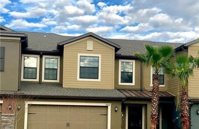 28542 TRANQUIL LAKE CIRCLE - 28542 Tranquil Lake Cir, Wesley Chapel, FL 33543