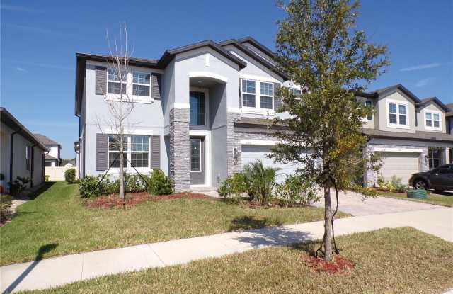 33251 SYCAMORE LEAF DRIVE photos photos