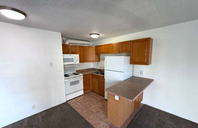 Studio Apartment in DU Area-Parking and Storage! photos photos