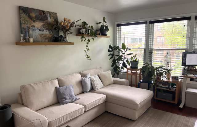 8246 Keating Avenue photos photos