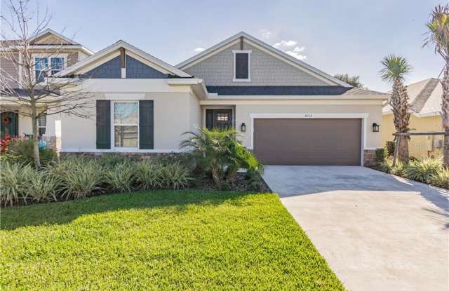 8012 MARBELLA CREEK AVENUE - 8012 Marbella Creek Avenue, Town 'n' Country, FL 33615