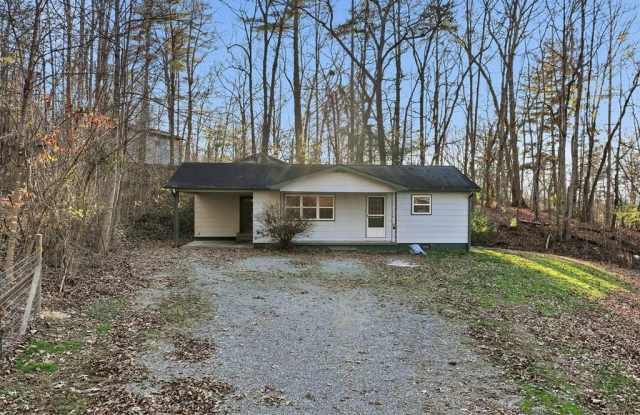 46 James Drive - 46 James Drive, Blairsville, GA 30512