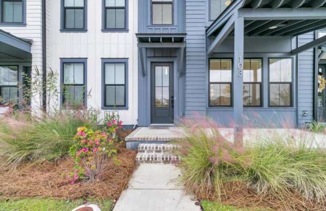 103 Pocket Bend Cir - 103 Pocket Bend Circle, Berkeley County, SC 29486
