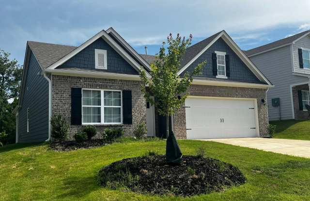 Chelsea Park's Built 2022 One level 4 Bedrooms 2 Bath open floor plan photos photos