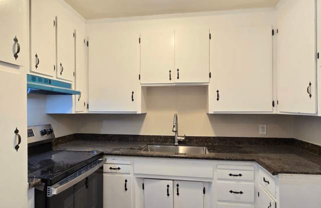 Spacious Downstairs Apartment, Fresh Paint, Quartz Counters, Stainless Steel Appliances, Pool, Parking! Gallery 2