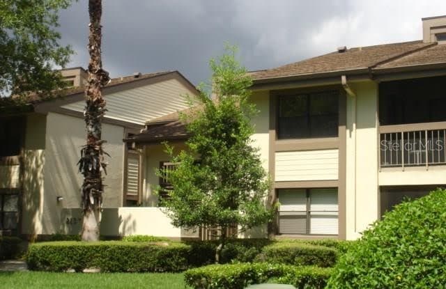 218 WOODLAKE WYNDE - 218 Woodlake Wynde, East Lake, FL 34677