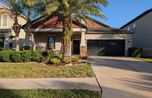 11024 LITTLE BLUE HERON DRIVE - 11024 Little Blue Heron Drive, Riverview, FL 33579