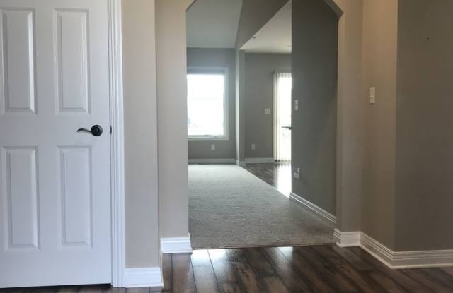 9625 Angelini Dr Gallery 4