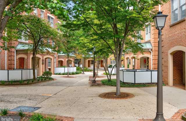4216 EVERGREEN Lane Gallery 3