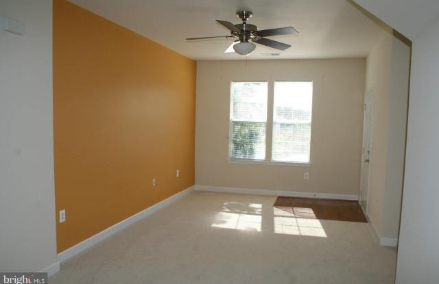 42381 GOLDENSEAL SQUARE Gallery 2
