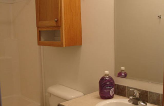 Extra Clean 3 Bedroom 2 Bath Modular Home with Central Heat & AC near Lowes in Sylva $1800 a month Available July 4th for year-long lease photos photos