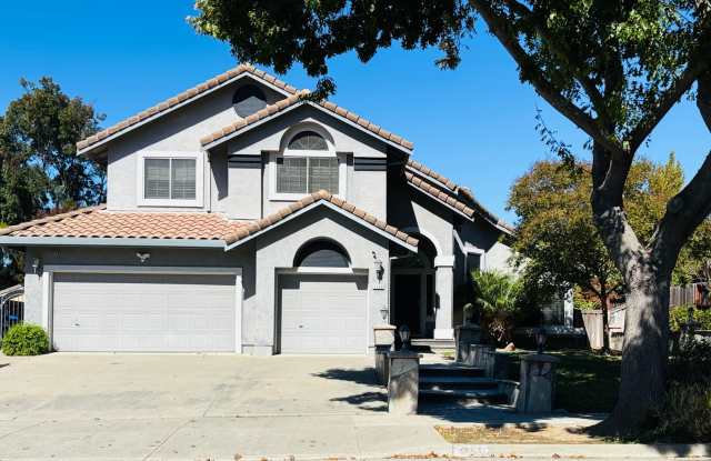 Beautiful Home! Gallery 1
