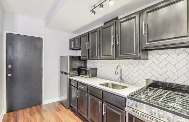 1145 North Lasalle Dr. - 1145 North La Salle Drive, Chicago, IL 60610