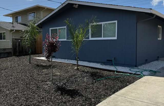 Brand New 3 bedroom 2 Bath Home with New Appliances photos photos
