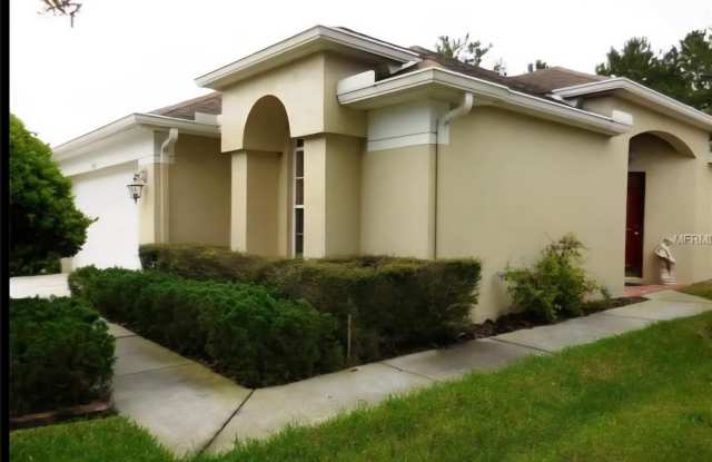 5530 CANNONADE DRIVE - 5530 Cannonade Drive, Pasco County, FL 33544
