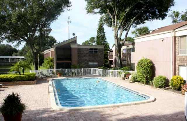 10455 Carrollwood Estates Drive Gallery 2
