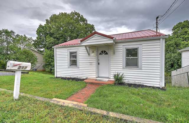 317 Mill Street, Bluff City, TN 37618 photos photos