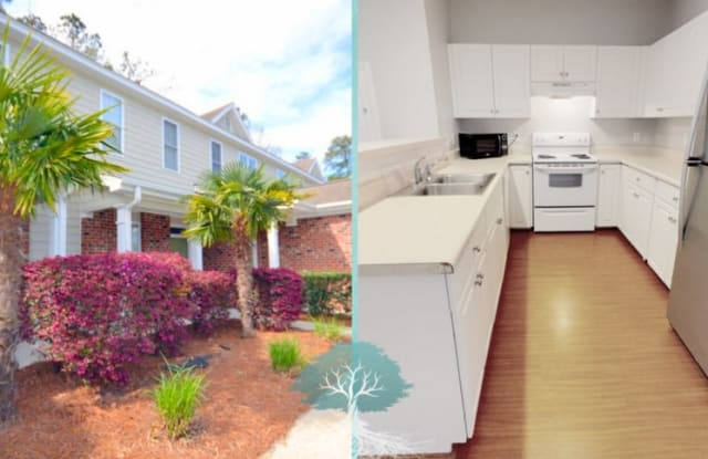 955 Downey Branch Ln - 955 Downey Branch Lane, Wilmington, NC 28403