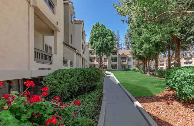 Paloma Vista Apartment Homes photos photos