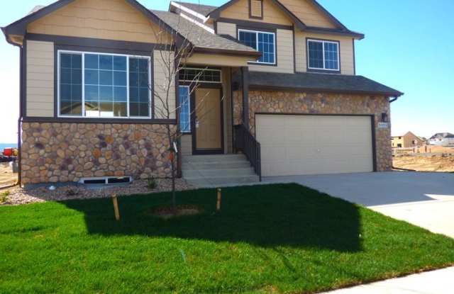 3435 Petrel Drive photos photos