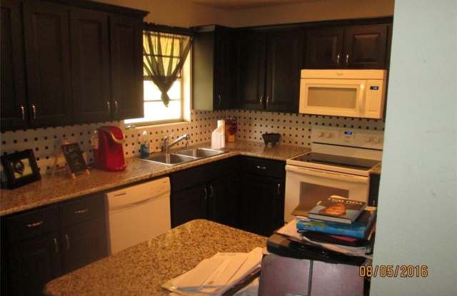 1219 Vivienne Street - 1219 Vivienne Street, Weatherford, TX 76086