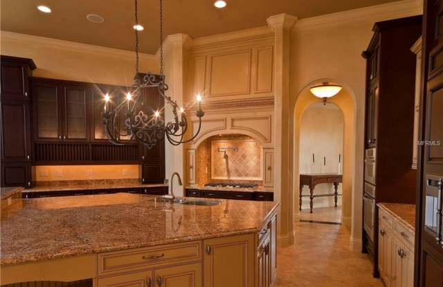 16152 VOLTERA POINT Gallery 3