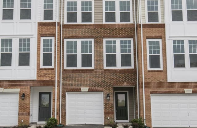 43276 NOVI TERRACE - 43276 Novi Terrace, Ashburn, VA 20147