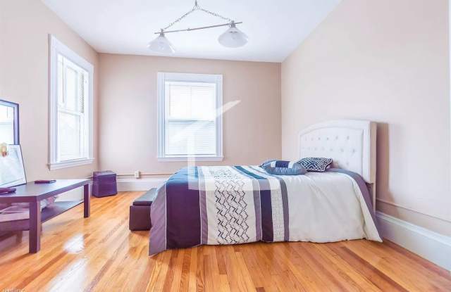 Massive Modern Apt Near BU! Cat Friendly!  See YT Video Gallery 4