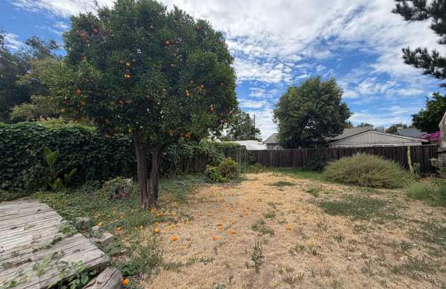 Charming Rose Garden Home in a Great Location - Coming Soon! Gallery 4