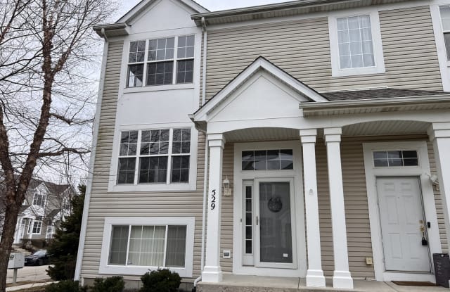 529 Silver Leaf Drive - 529 Silver Leaf Drive, Joliet, IL 60431