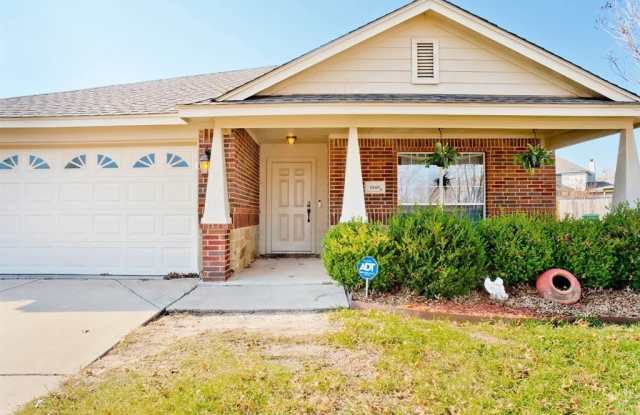 6169 Tilapia Drive - 6169 Tilapia Drive, Fort Worth, TX 76179