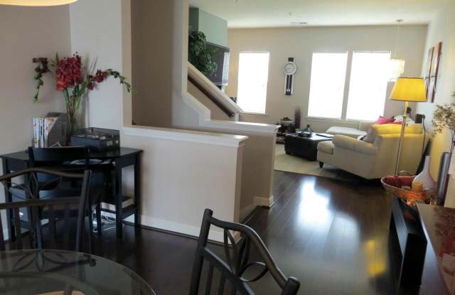 22553 BLUE ELDER TERRACE Gallery 4