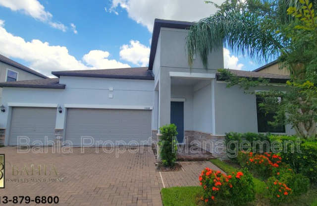 13608 White Sapphire Rd - 13608 White Sapphire Road, Riverview, FL 33579