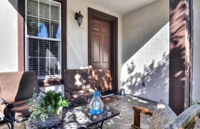 81 Trumpet Vine Street Gallery 2