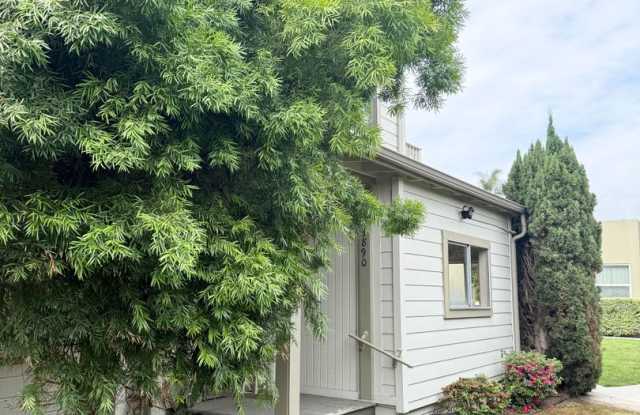 EAGLE STREET APARTMENTS photos photos