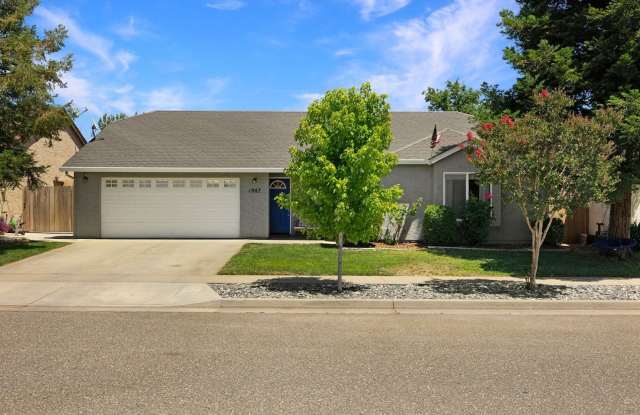 Beautiful Three Bed House in Chico Neighborhood photos photos