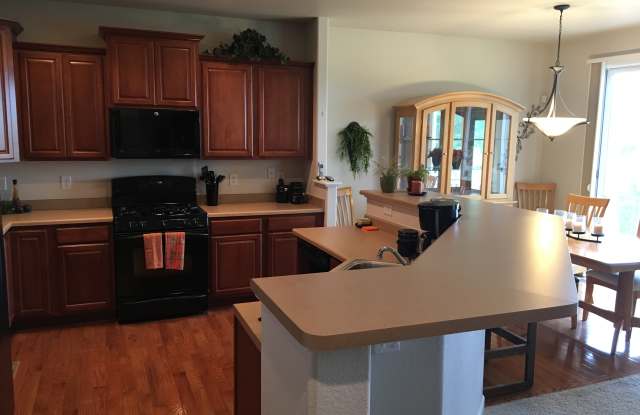 16482 Aliante Dr Gallery 4