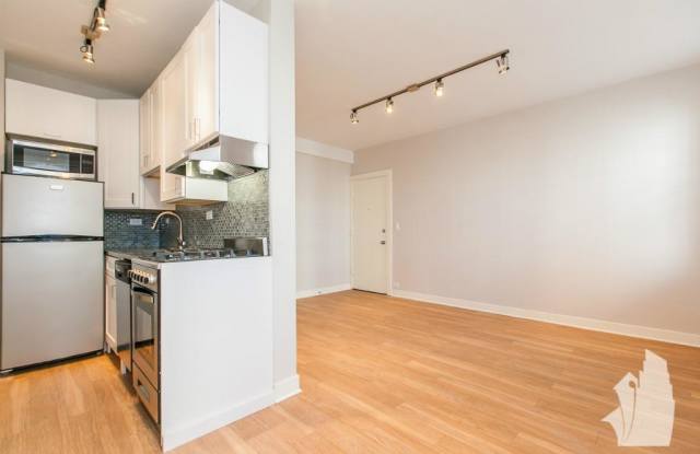 511 West Belmont Avenue - 511 West Belmont Avenue, Chicago, IL 60657