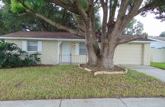 6124 19th Street - 6124 19th Street, Zephyrhills, FL 33542
