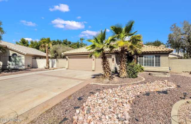 4616 E GOLD POPPY Way photos photos
