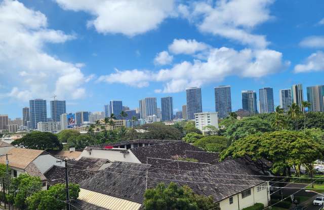824 Kinau Street Gallery 3