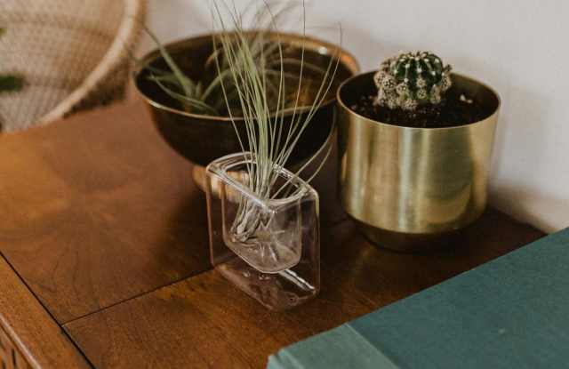 The Enclave photos photos The Enclave photos photos